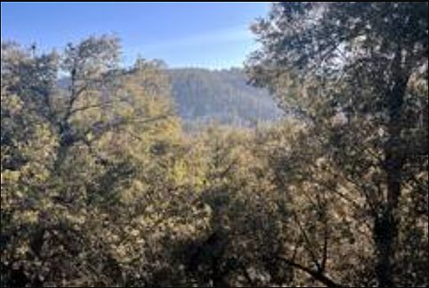 View from Main bedroom