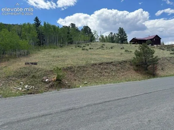 7142 County Road 92, Lake George, CO 80827