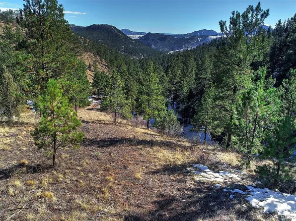 6 Turret Peak Trail, Pine, CO 80470