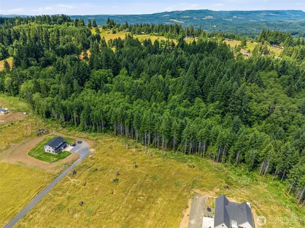 252 Ash Mountain Drive, Castle Rock, WA 98611
