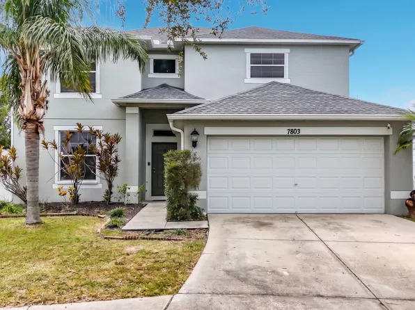 7803 Abbey Mist Cv, Tampa, FL 33619