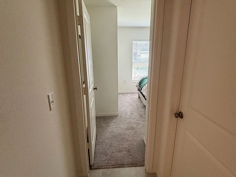 3843 Whitetail Ct — Photo 25