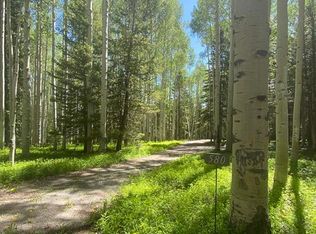 580 Columbine Dr, Cimarron, CO 81220