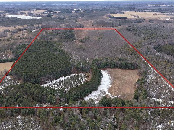 4th image of 80 AC King Lane Acres