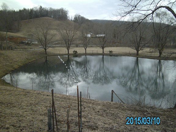 4th image of 479 Bear Cage Road ##1