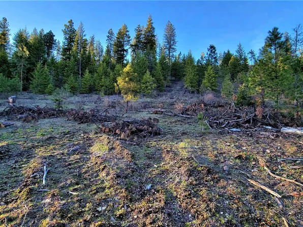 19 Misty Ridge Ln, Newport, WA 99156