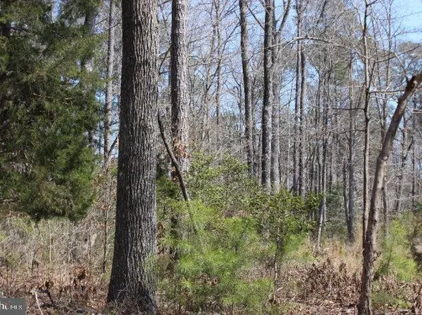 2200 Spinnaker St, Greenbackville, VA 23356