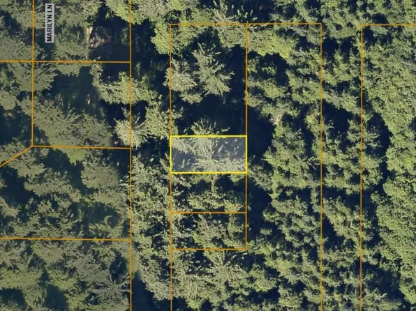 0 Iron Springs Lot 4 Blk 15, Copalis Beach, WA 98535