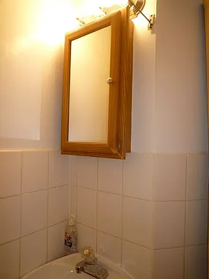 Rented by Authentic Realty | media 8