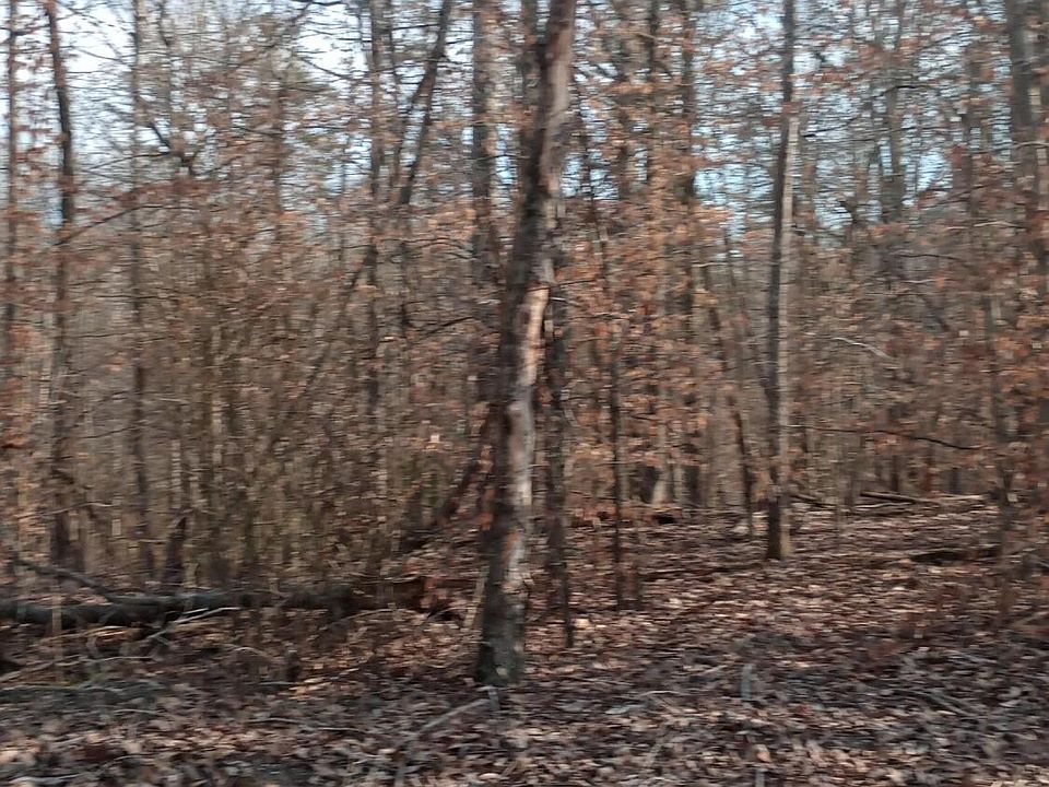 2nd image of 0 Carl Griffith Rd