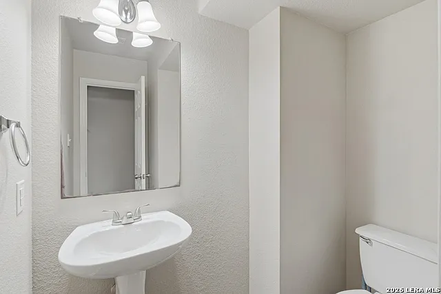 25513 Gold Yarrow — Photo 36