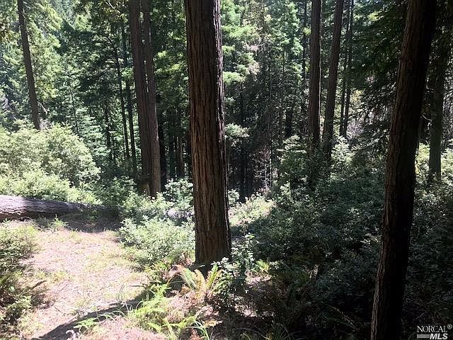 246 Davis Way Jenner Ca Mls 2275 Zillow