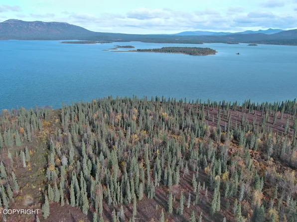 L4b5 Bear Tracks Rd, Aleknagik, AK 99555