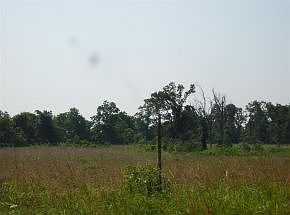 2nd image of 1824 Swamp Rd