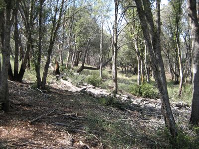 Pine Hills Rd, Julian, CA, 92036