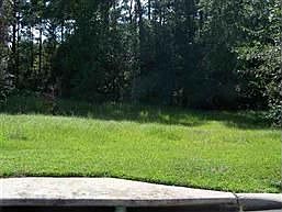 1st image of 3798 Piney Grove Dr