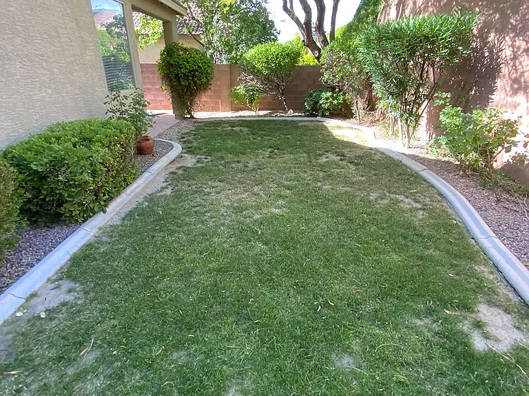 758 Rise Canyon Dr — Photo 11