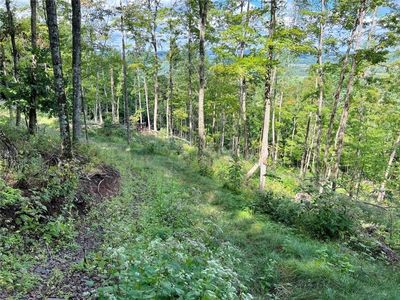 LOT 24 Cowan Ln, Hobart, NY, 13788