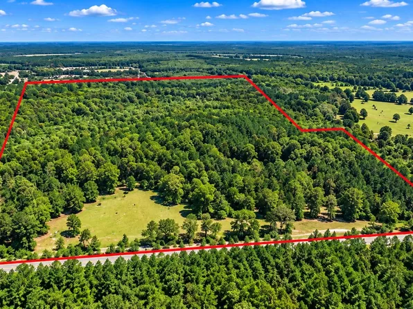 368 Morman Rd, Homer, LA 71040