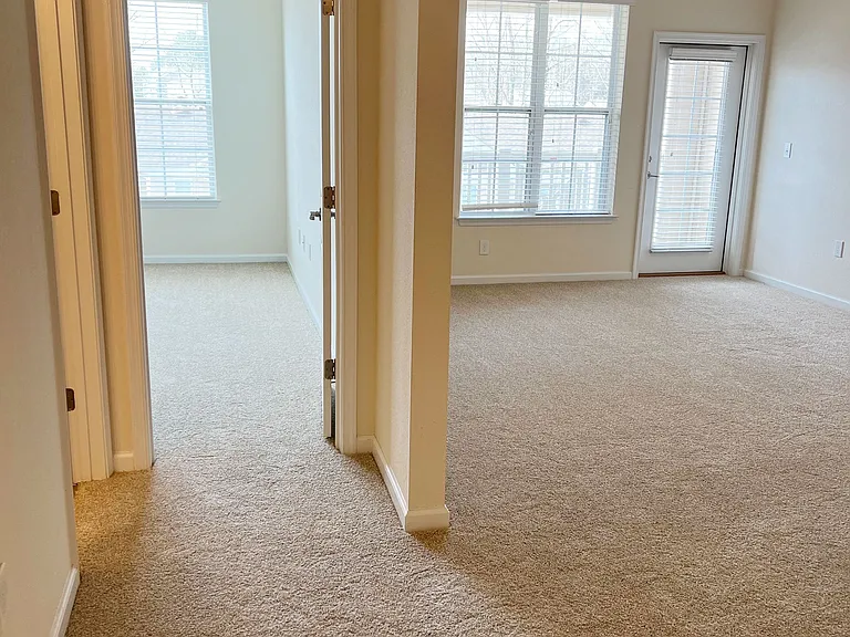 Belmont at Tryon Apartments — Photo 182