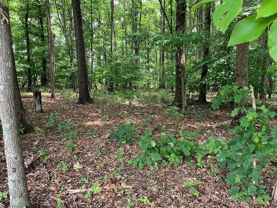 2nd image of LOT 5B Three Oaks Rd