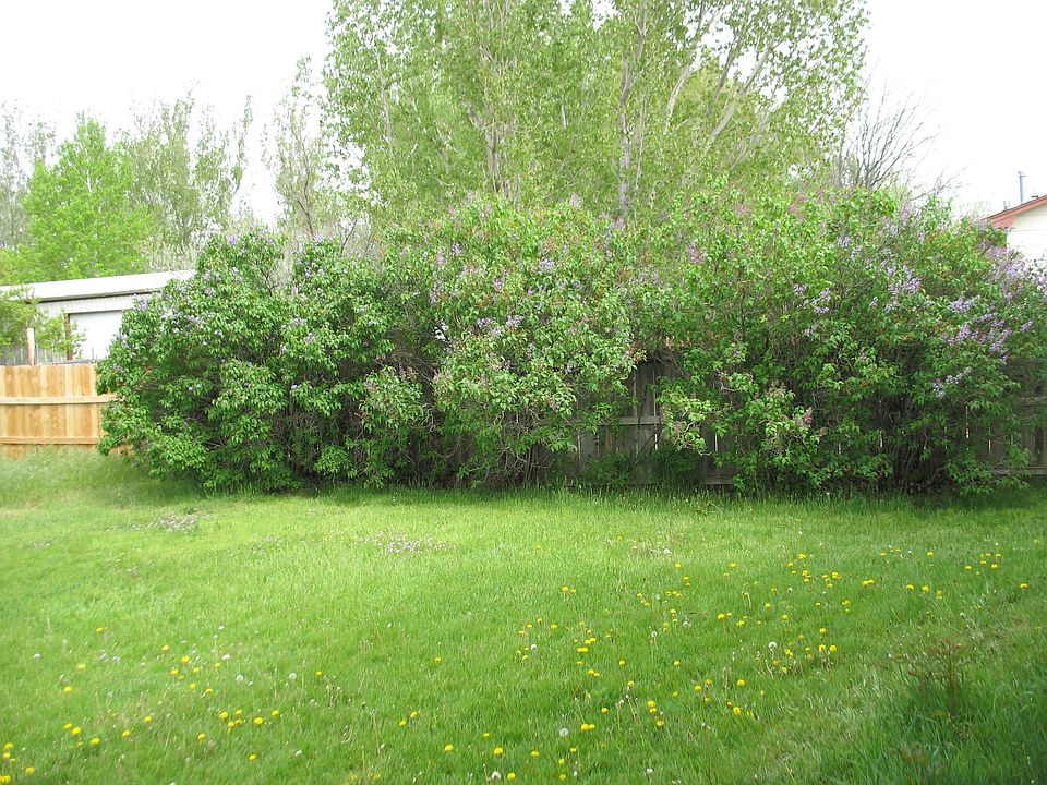 2nd image of 284 Indian Paintbrush St