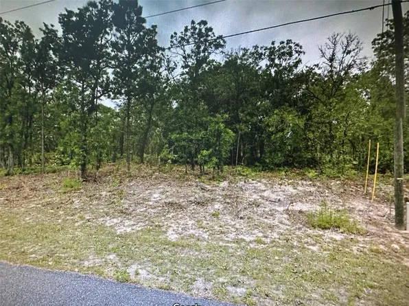 2466 W Swanson Dr #20, Dunnellon, FL 34434