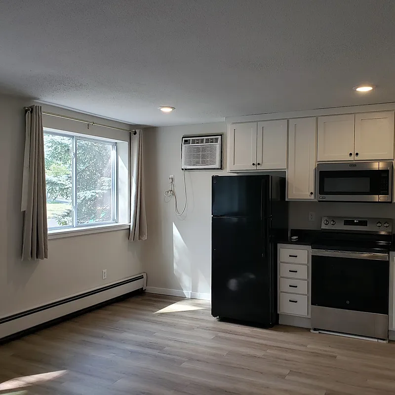 1 bed, 450 sqft, $1,190 — Photo 2