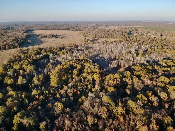 Farm Road 2120, Bagwell, TX 75412