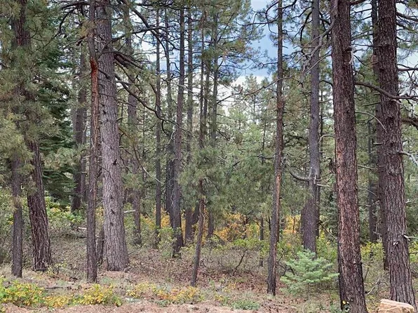 366 & 394 Pine Ridge Drive, Bayfield, CO 81122