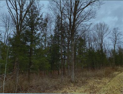 MAPLE LEAF ROAD, Marathon, WI, 54448