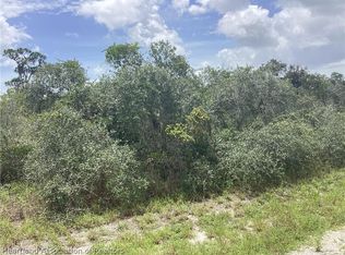 402 Martinique Ave NE, Lake Placid, FL 33852