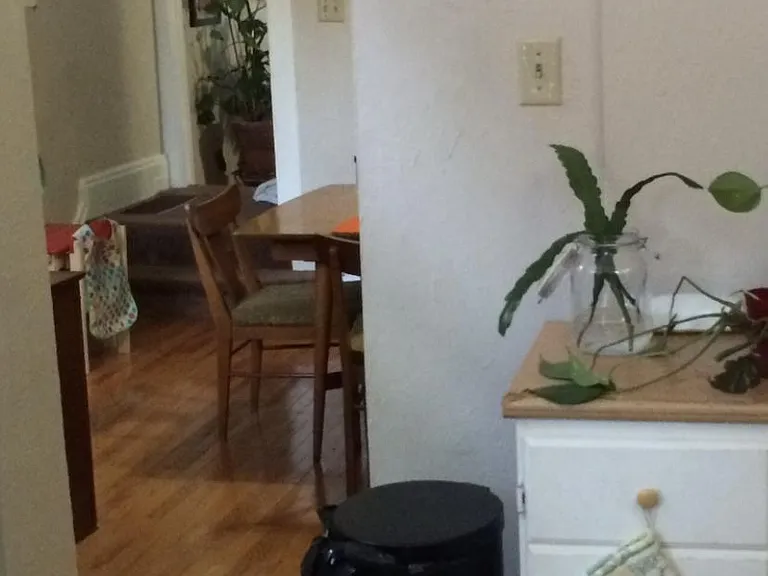 1135 N Euclid Ave — Photo 11