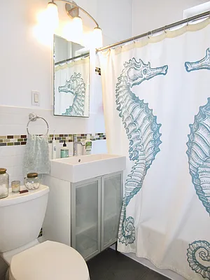 Rented by Brooklyn Properties | media 4