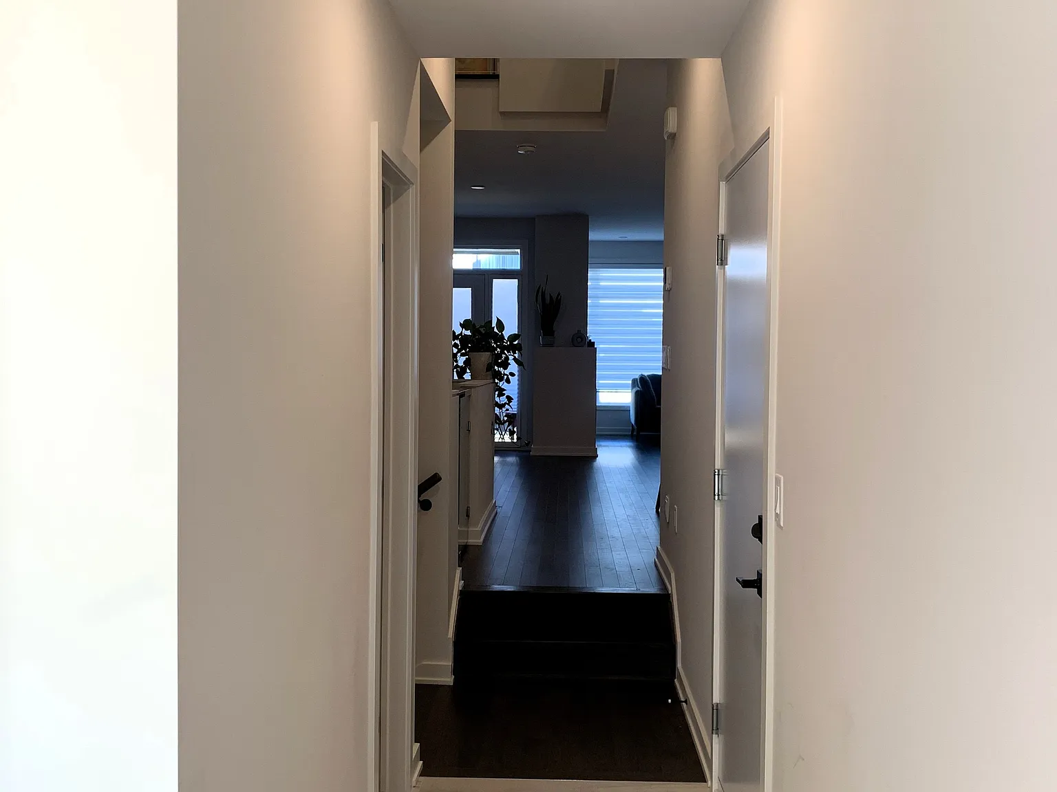 3 bed, $2,900 — Photo 3
