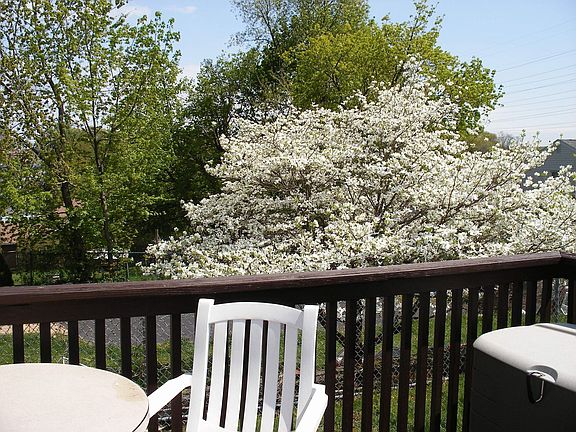 View from Deck