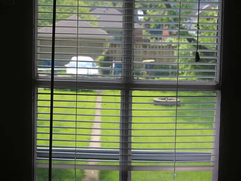 Office / bedroom view