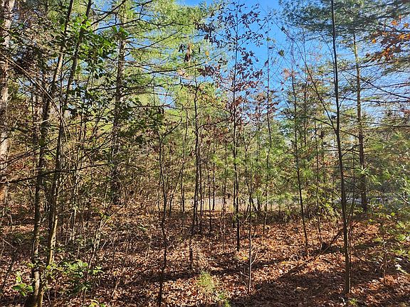 5th image of LOT 25 Shotgun Annie Rd