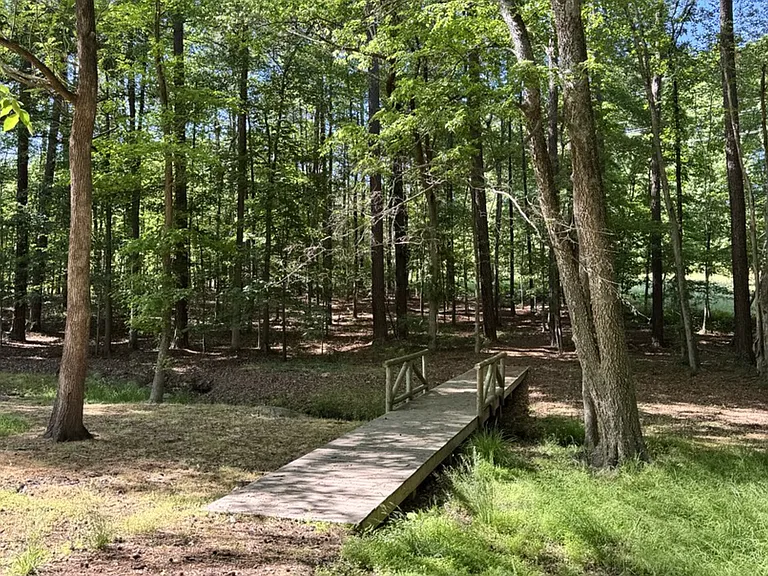 Walking Trail
90% complete