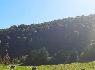 447 Lower Bogard Rd, Newport, TN 37821