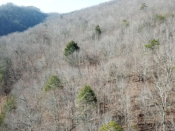 2nd image of 142 Whistle Valley Rd