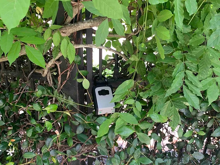Jeannette St — Photo 14