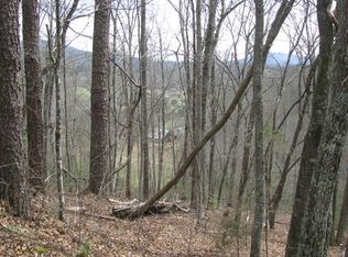 2463 Union Hill Rd, Whittier, NC 28789