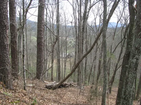 2463 Union Hill Rd, Whittier, NC 28789