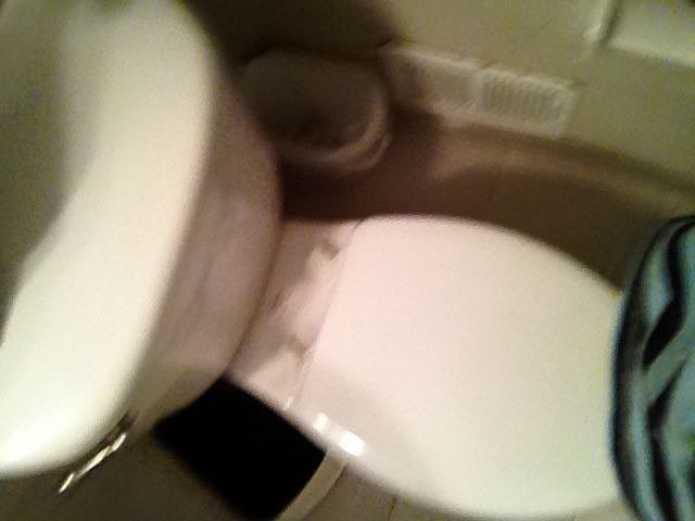 Toilet in the upstairs bath 