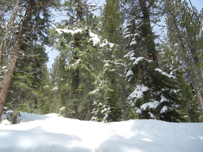50924 Manzanita Ter, Soda Springs, CA, 95728