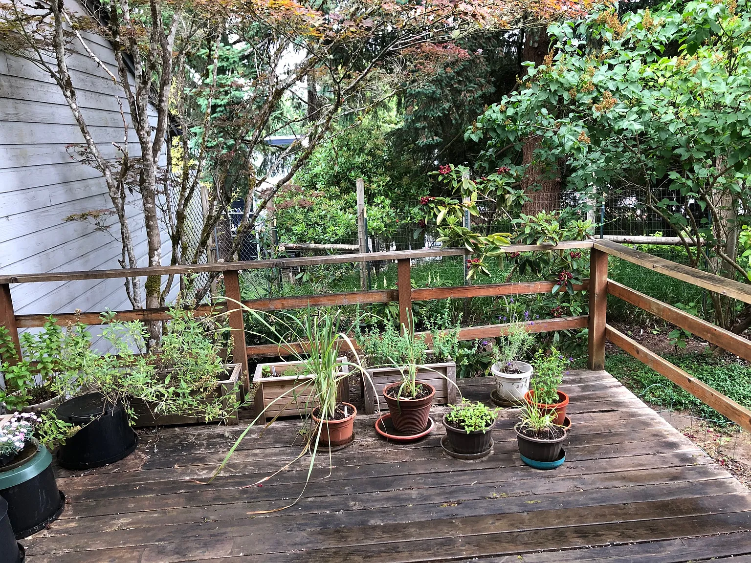 1 bed, 1.5 bath, 1334 sqft, $800 — Photo 2