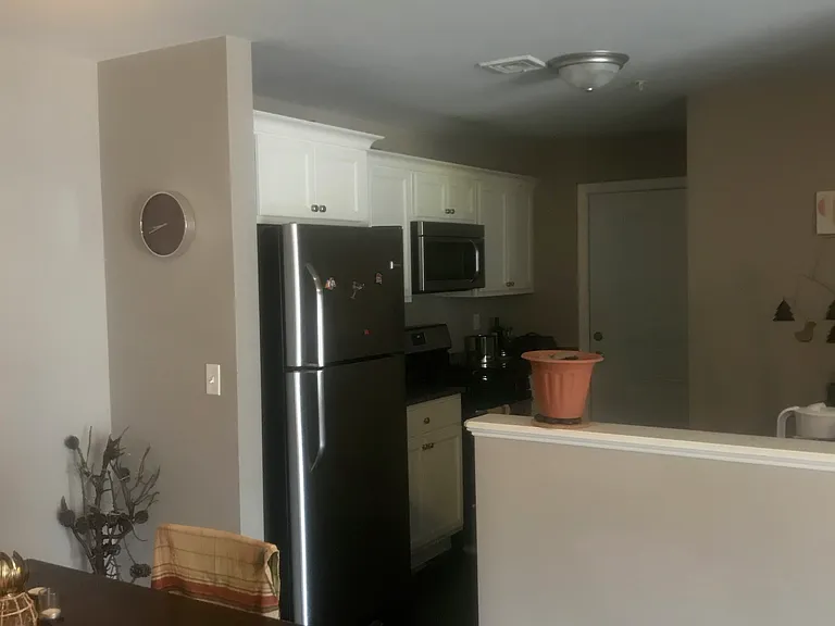 402 New River Rd #207 — Photo 7