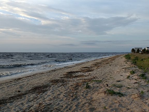 Beach looking South.