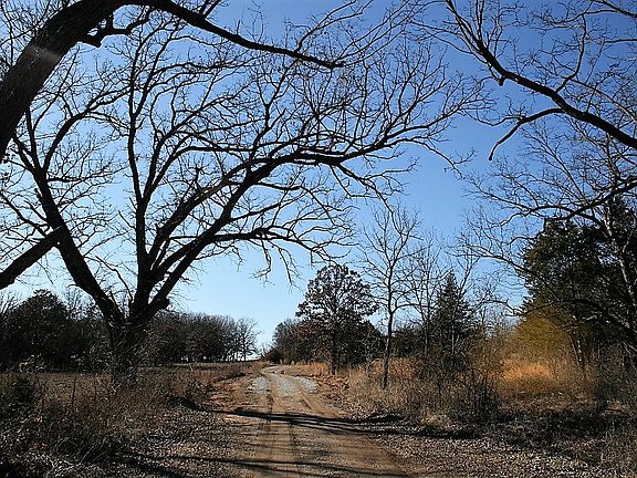 4th image of 8706 County Road 1550
